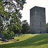 Burgruine Tosters in Feldkirch / Vorarlberg