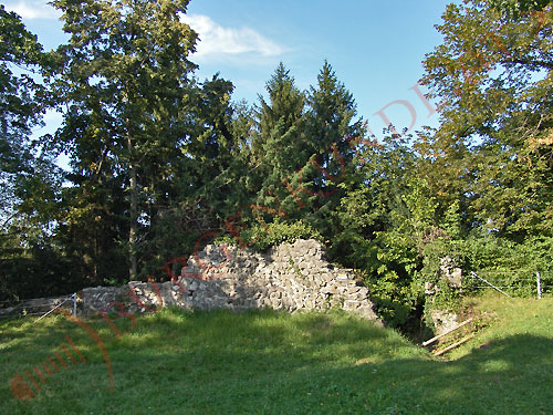 Burgruine Tosters in Feldkirch / Vorarlberg