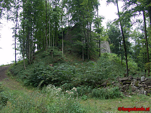 Ruine Blumenegg in Thüringerberg / Vorarlberg