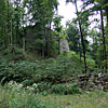 Ruine Blumenegg in Thüringen / Vorarlberg