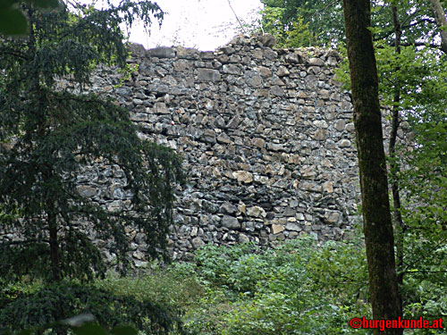 Ruine Blumenegg in Thüringerberg / Vorarlberg