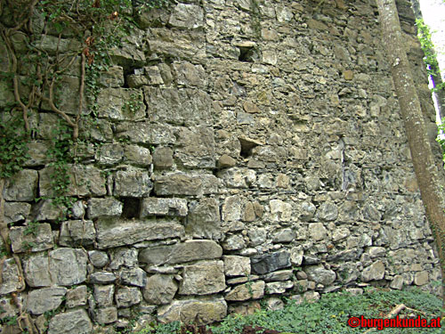 Ruine Blumenegg in Thüringerberg / Vorarlberg