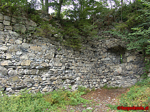 Ruine Blumenegg in Thüringerberg / Vorarlberg