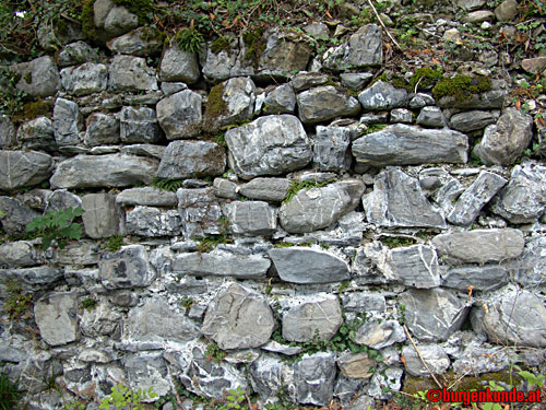 Ruine Blumenegg in Thüringerberg / Vorarlberg