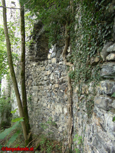 Ruine Blumenegg in Thüringerberg / Vorarlberg