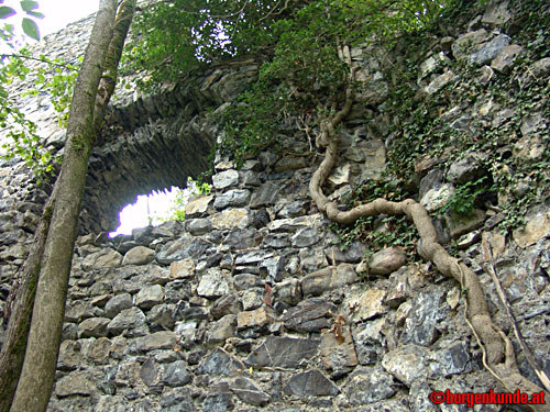 Ruine Blumenegg in Thüringerberg / Vorarlberg