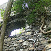 Ruine Blumenegg in Thüringen / Vorarlberg