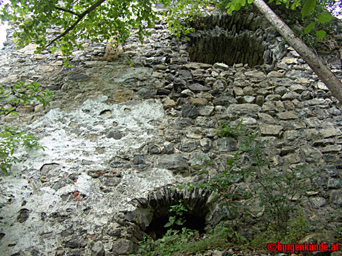 Ruine Blumenegg in Thüringerberg / Vorarlberg