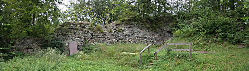 Ruine Blumenegg in Thüringen / Vorarlberg