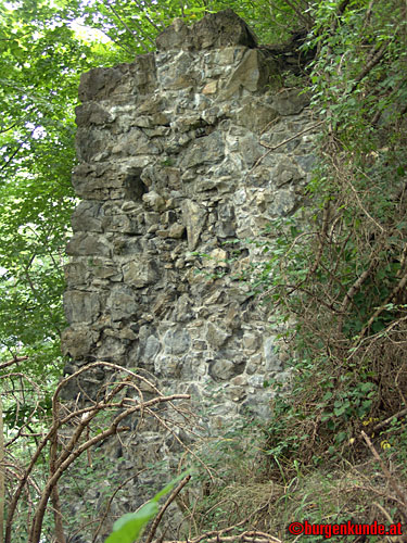 Ruine Sonnenberg in Nüziders / Vorarlberg