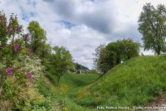 Die nördliche Ecke des vermuteten Königshofes Atarhova. Rechts das Plateau des Kirchberges, links der vorgelagerte Wall und dazwischen der bis zu mehrere Meter tiefe Graben.