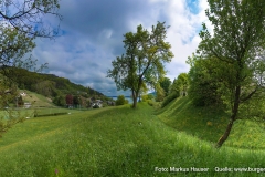 Blick vom Kirchberg in Attersee zum südöstlichen Abfall des Buchberg, mit Lagestelle der zweiten, etwas kleineren Anlage genannt Schlossberg (linke Bildhälfte).