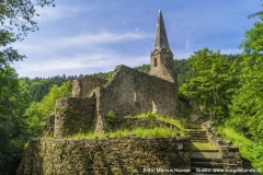 Burgkirche_Gossam_007