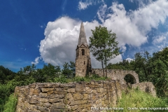 Burgkirche_Gossam_039