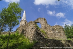 Burgkirche_Gossam_054