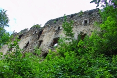 Burgruine-Gomarn-Bad-St-Leonhard-Kaernten-040