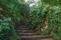 Burg Kaysersberg im Elsass