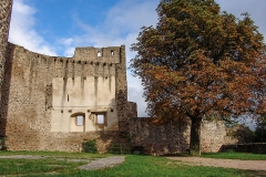 Burg Kaysersberg im Elsass