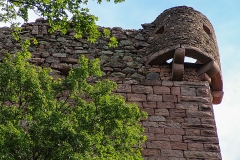 Burg Kintzheim mit der Greifvogelwarte im Elsass