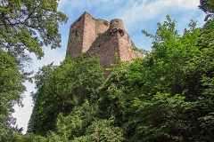 Burg Kintzheim mit der Greifvogelwarte im Elsass