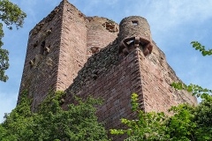 Burg Kintzheim mit der Greifvogelwarte im Elsass