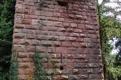 Burg Kintzheim mit der Greifvogelwarte im Elsass