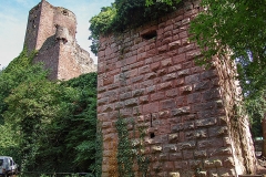 Burg Kintzheim mit der Greifvogelwarte im Elsass