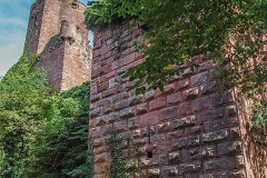 Burg Kintzheim mit der Greifvogelwarte im Elsass