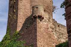 Burg Kintzheim mit der Greifvogelwarte im Elsass