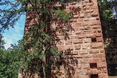 Burg Kintzheim mit der Greifvogelwarte im Elsass