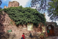 Burg Kintzheim mit der Greifvogelwarte im Elsass