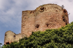 Burg Kintzheim mit der Greifvogelwarte im Elsass