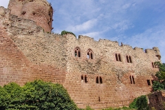 Burg Kintzheim mit der Greifvogelwarte im Elsass