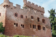 Burg Kintzheim mit der Greifvogelwarte im Elsass