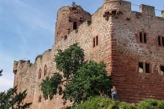 Burg Kintzheim mit der Greifvogelwarte im Elsass