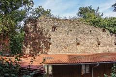 Burg Kintzheim mit der Greifvogelwarte im Elsass