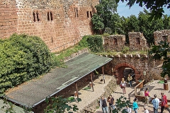 Burg Kintzheim mit der Greifvogelwarte im Elsass