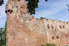 Burg Kintzheim mit der Greifvogelwarte im Elsass