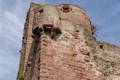 Burg Kintzheim mit der Greifvogelwarte im Elsass