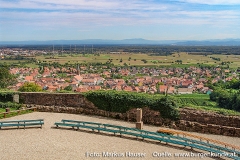 Burg Kintzheim mit der Greifvogelwarte im Elsass