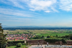 Burg Kintzheim mit der Greifvogelwarte im Elsass