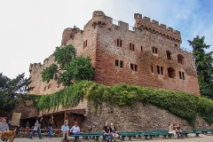 Burg Kintzheim mit der Greifvogelwarte im Elsass