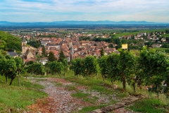 Burg Girsberg im Elsass