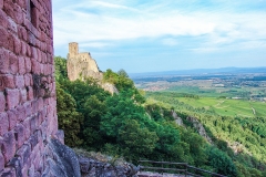 Burg Girsberg im Elsass