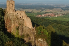 Burg Girsberg im Elsass