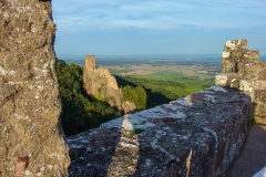 Burg Girsberg im Elsass