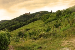 Burg Sankt Ulrich im Elsass