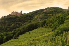 Burg Sankt Ulrich im Elsass