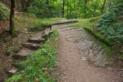 Burg Sankt Ulrich im Elsass