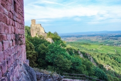 Burg Sankt Ulrich im Elsass